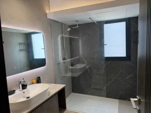 Studio 303 de The Stay : la douche vitrée et la vasque
